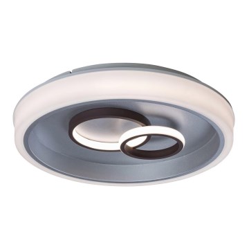 Rabalux - LED-kattovalaisin LED / 40W / 230V pyöreä