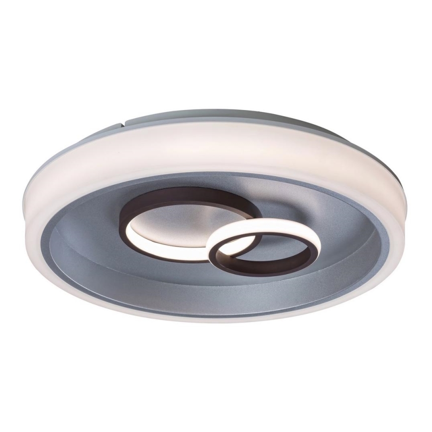 Rabalux - LED-kattovalaisin LED / 40W / 230V pyöreä
