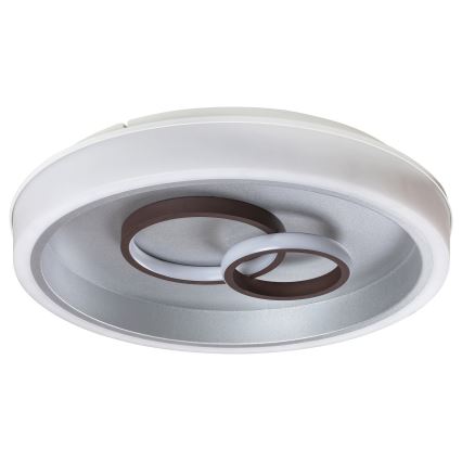 Rabalux - LED-kattovalaisin LED / 40W / 230V pyöreä