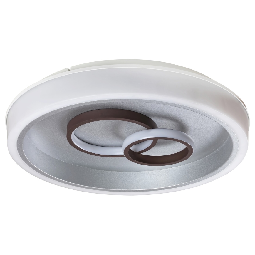 Rabalux - LED-kattovalaisin LED / 40W / 230V pyöreä