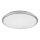 Rabalux - LED-kattovalaisin LED/45W/230V 4000K hopea 48 cm