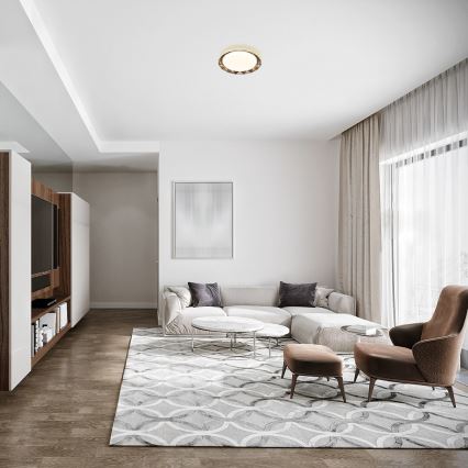 Rabalux - LED-kattovalaisin LED / 48W / 230V