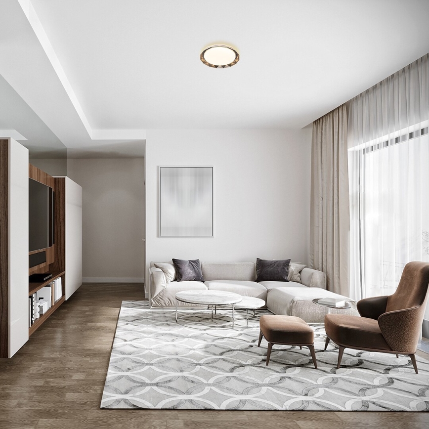 Rabalux - LED-kattovalaisin LED / 48W / 230V