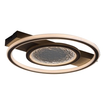 Rabalux - LED-kattovalaisin LED/50W/230V 3000K