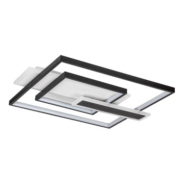 Rabalux - LED-kattovalaisin LED/50W/230V