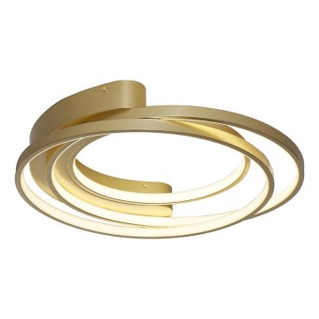 Rabalux - LED-kattovalaisin LED/50W/230V