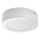Rabalux - LED Kattovalaisin SHAUN LED/12W/230V d. 14,5 cm