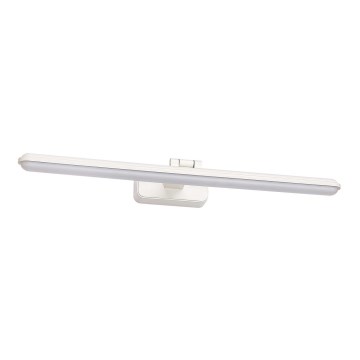 Rabalux - LED-kuvavalo LED/15W/230V 4000K valkoinen
