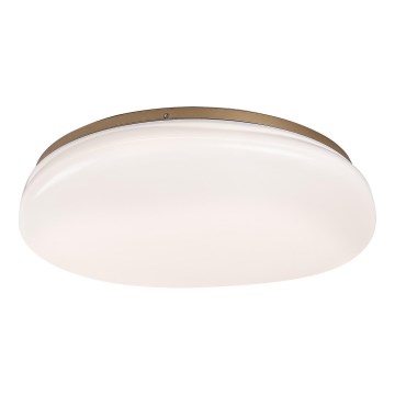 Rabalux - LED-kylpyhuoneen kattovalaisin LED/24W/230V IP44 halkaisija 41 cm