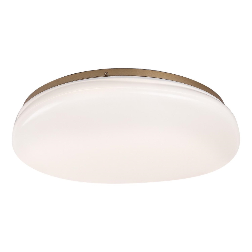 Rabalux - LED-kylpyhuoneen kattovalaisin LED/24W/230V IP44 halkaisija 41 cm