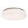 Rabalux - LED-kylpyhuoneen kattovalaisin LED/24W/230V IP44 halkaisija 41 cm
