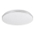 Rabalux - LED-kylpyhuoneen kattovalaisin LED / 30W / 230V IP44