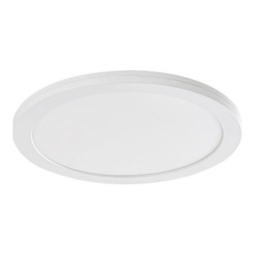 Rabalux - LED-paneeli LED/30W/230V 33 cm