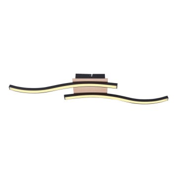 Rabalux - LED pinta-asennettava kattokruunu 2xLED/12W/230V