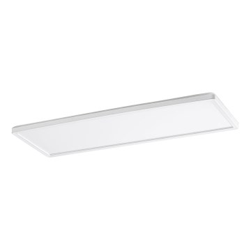 Rabalux - LED Pinta-asennettava paneeli LED / 22W / 230V