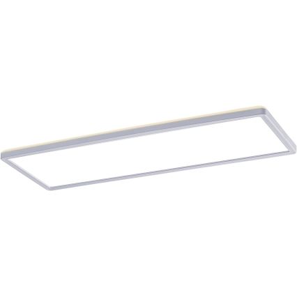 Rabalux - LED Pinta-asennettava paneeli LED / 22W / 230V