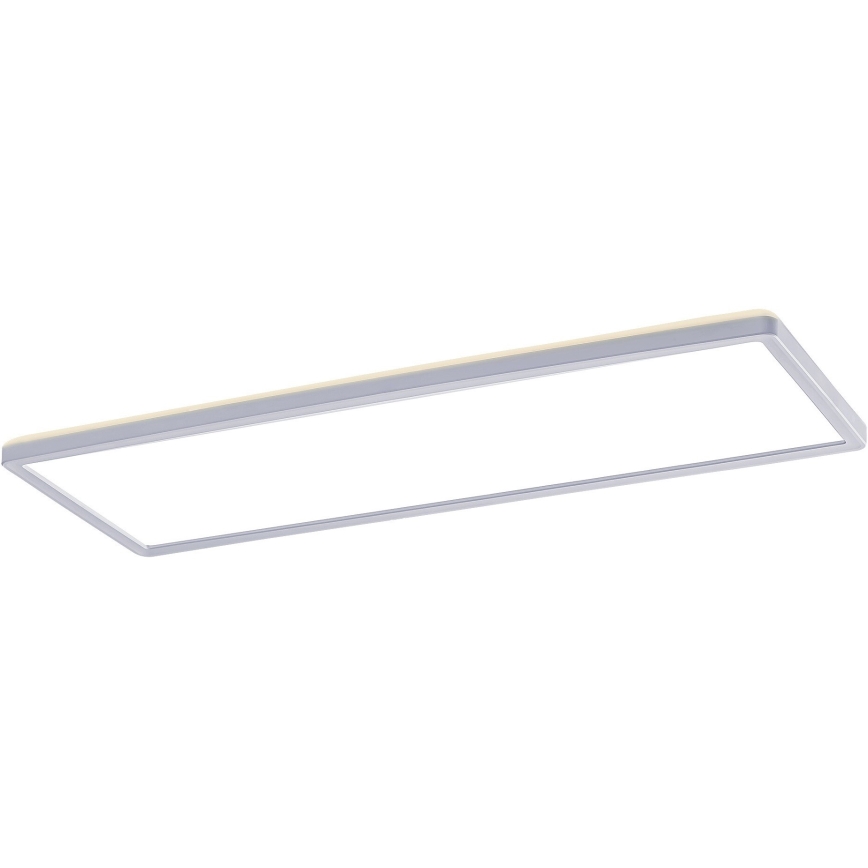 Rabalux - LED Pinta-asennettava paneeli LED / 22W / 230V