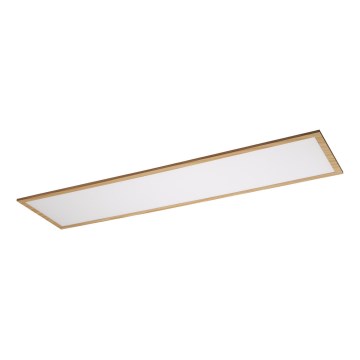 Rabalux - LED Pinta-asennettava paneeli LED/40W/230V 4000K
