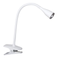 Rabalux - LED-pöytälamppu pidikkeellä 1xLED/4,5W/230V