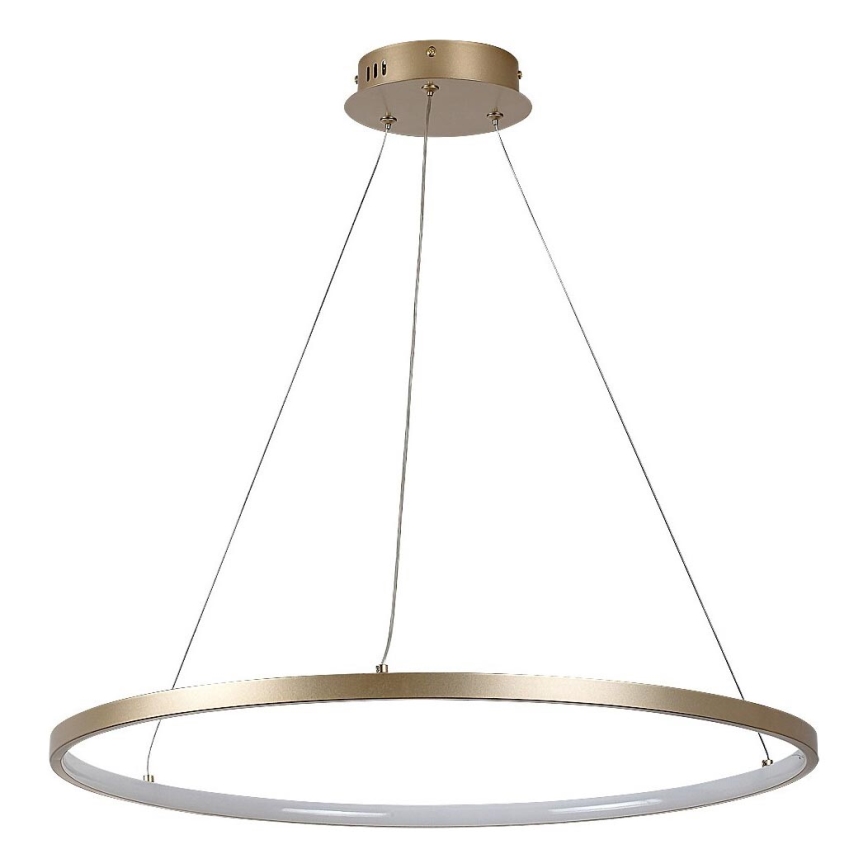 Rabalux - LED-riippuvalaisin kaapelilla LED/55W/230V 3000K