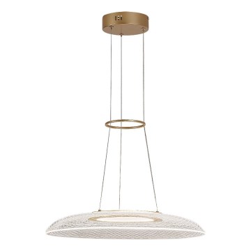 Rabalux - LED-riippuvalaisin vaijerilla LED/24W/230V 3000K