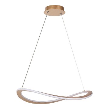 Rabalux - LED-riippuvalaisin vaijerilla LED/40W/230V 3000K