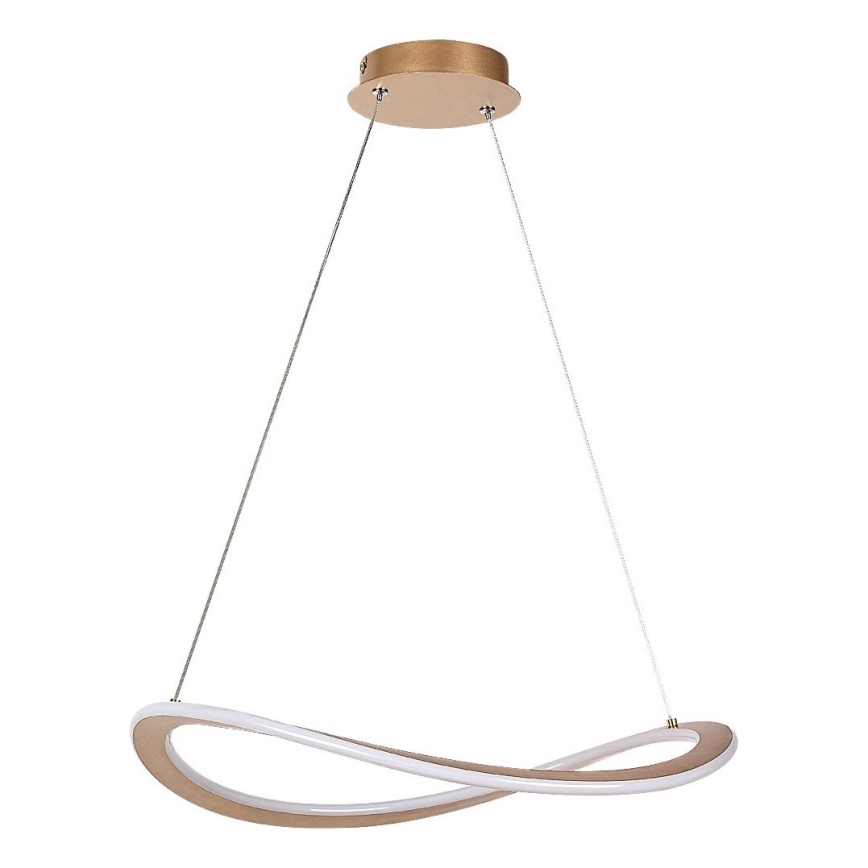 Rabalux - LED-riippuvalaisin vaijerilla LED/40W/230V 3000K