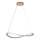 Rabalux - LED-riippuvalaisin vaijerilla LED/40W/230V 3000K