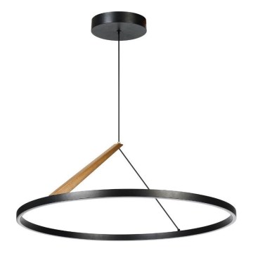 Rabalux - LED-riippuvalaisin vaijerilla LED/40W/230V 3000K