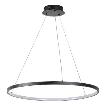Rabalux - LED-riippuvalaisin vaijerilla LED/55W/230V 3000K