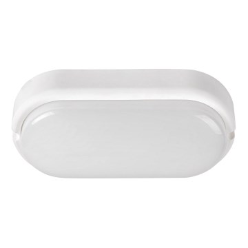 Rabalux - LED Ulkokattovalaisin LED/15W/230V IP54 valkoinen