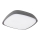 Rabalux - LED-ulkokattovalaisin LED/20W/230V IP65