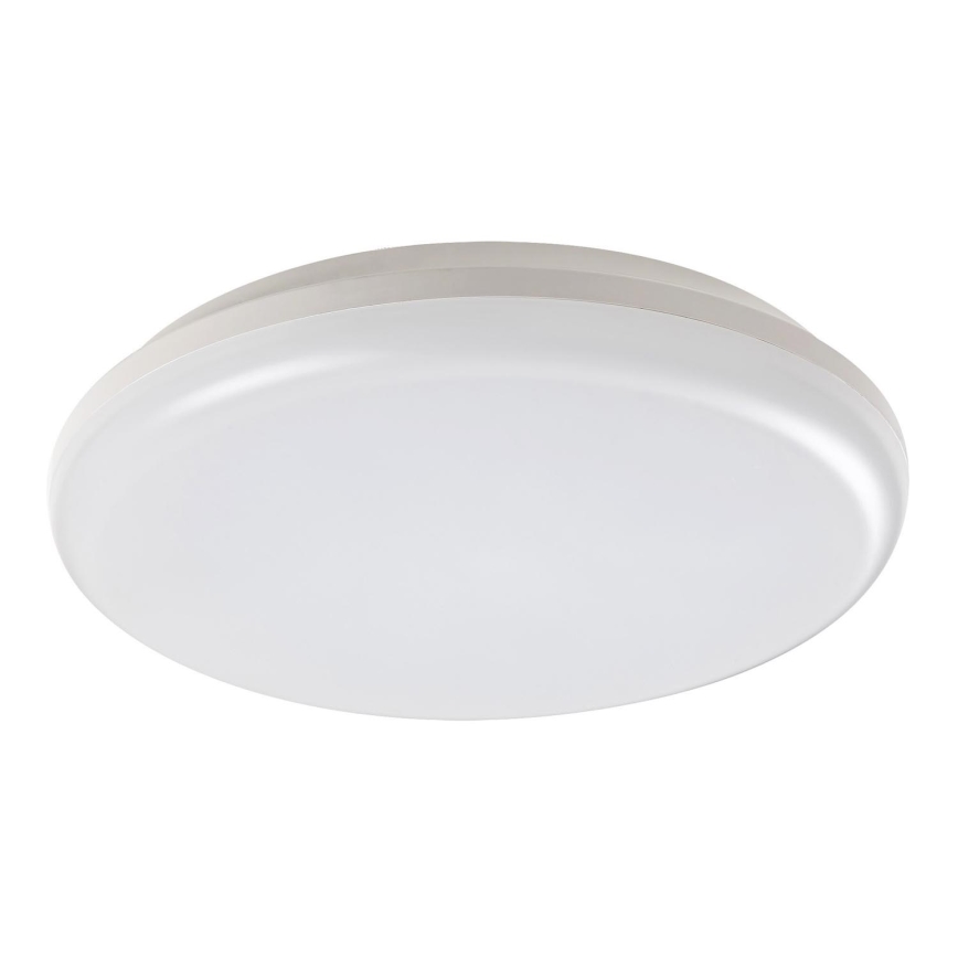 Rabalux - LED-ulkokattovalaisin LED/24W/230V IP64
