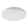 Rabalux - LED-ulkokattovalaisin LED/24W/230V IP64