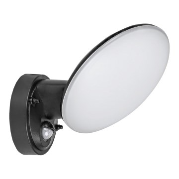 Rabalux - LED Ulkoseinävalaisin anturilla LED/12W/230V IP54