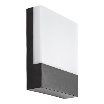 Rabalux - LED-ulkoseinävalaisin LED/10W/230V IP44 musta