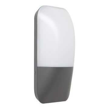 Rabalux - LED-ulkoseinävalaisin LED/10W/230V IP65 800lm 4000K