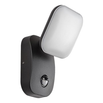 Rabalux - LED Ulkovalaisin joustava anturilla LED/12W/230V IP44