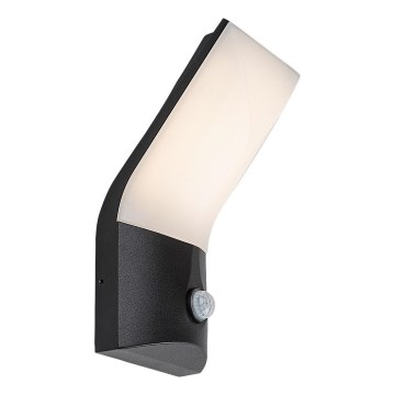 Rabalux - LED Ulkovalo anturilla LED/10W/230V IP54