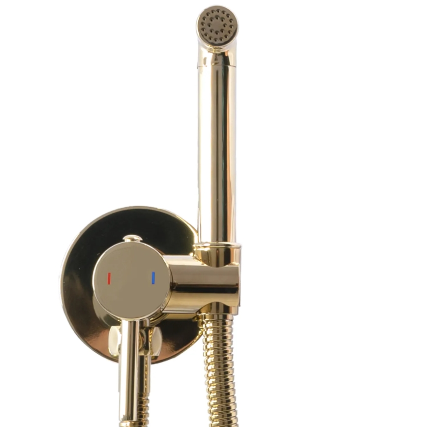 REA-B8979 - LUNGO bidet-sekoitin käsisuihkulla piilotettavaa asennusta varten, kultainen
