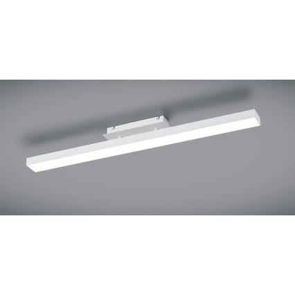 Reality - Himmennettävä LED-kattovalaisin AGANO LED/18W/230V valkoinen