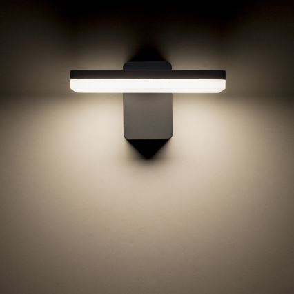 RED - Design Rendl - R11947- LED Ulkoseinävalo RINA LED/12W/230V IP65