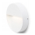 RED - Design Rendl - R12539 - LED-ulkoseinävalo AQILA LED/6W/230V IP54