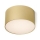 RED - Design Rendl - R12843 - LED-kattovalo LARISA LED/10W/230V kulta