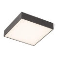 RED - Design Rendl - R12851 - LED-kattovalo LARISA LED/30W/230V musta
