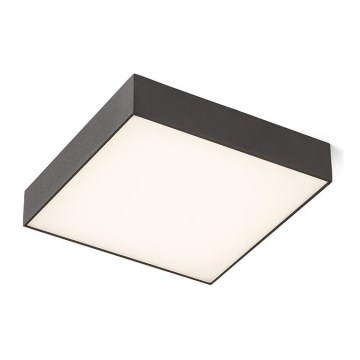 RED - Design Rendl - R12851 - LED-kattovalo LARISA LED/30W/230V musta