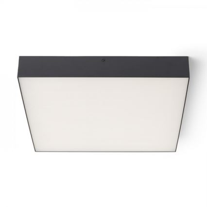 RED - Design Rendl - R13490 - LED-kattovalo LARISA LED/50W/230V musta