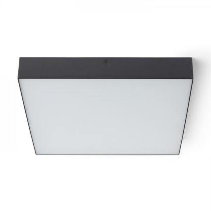 RED - Design Rendl - R13490 - LED-kattovalo LARISA LED/50W/230V musta