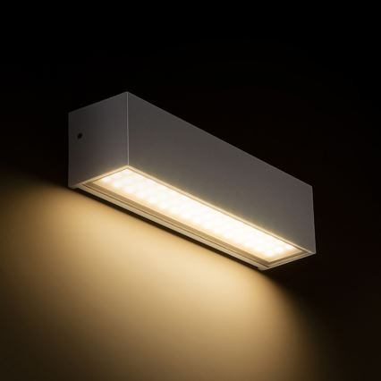 RED-Design Rendl-R13527-LED-ulkoseinävalo CAMARGUE LED/6W/230V IP65