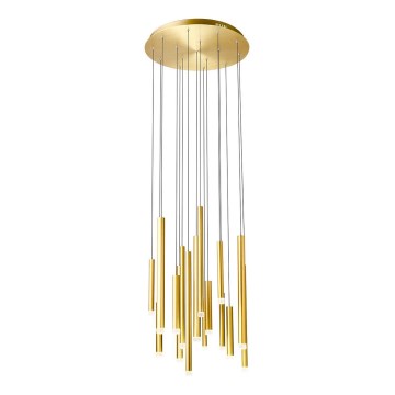 Redo 01-2058 - LED-kattokruunu johdossa MADISON 16xLED/4W/230V kulta